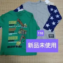 Item thumbnail for item 9e502a4a-e6c9-4afc-ae8e-f7c657fa3f36