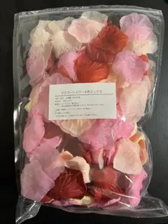 Item thumbnail for item 65e9d927-cc00-4d55-a837-e623759eb100