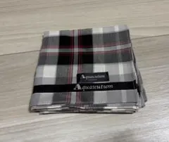 Item thumbnail for item 55adf406-dd3b-4703-b13c-2f4e8a405028