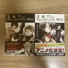 文豪ストレイドックス 小説　2冊セット