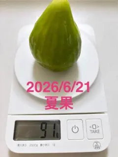 大理石 フルーツインテリア雑貨 いちぢく イチヂク - メルカリ
