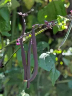 kino様 リクエスト 4点 まとめ商品