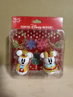 東京ディズニーリゾート ミッキー・ミニー キーホルダー 2個セット