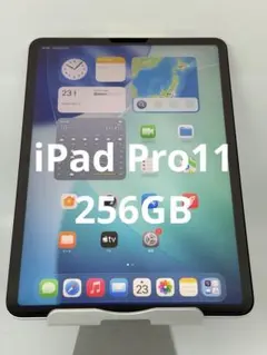 ジャンクiPad Pro (第1世代)11インチ ジャンク iPad Pro 11インチ 第1世代 Wi-Fiモデル スペースグレイ