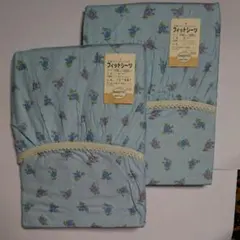 Item thumbnail for item acc28717-1174-4868-9cf0-8c003506ec0c