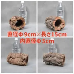 【特大】5本まとめて　バージンコルク　キャノン型 キャノン型バージンコルク 限定4点をオンラインショップに追加しま