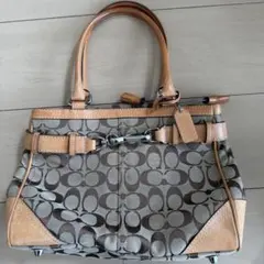 COACH ハンプトンズ シグネチャー キャリーオール10262 ブラウン