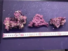 だだだ様 リクエスト 2点 まとめ商品