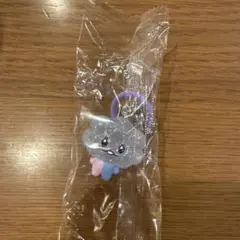 treasure TRUZ SOM ソム　めじるしアクセサリー