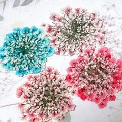 押し花素材＊レースフラワー　大サイズ14