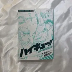 ハイキュー 小説