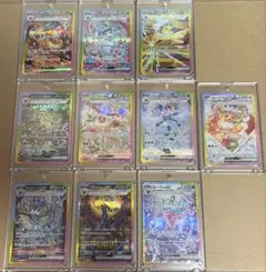 テラスタルフェスex ブラッキーex SAR ゴットパック