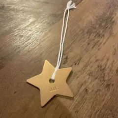 Dior ゴールド星型チャーム