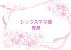 シリウスママ様 リクエスト 6点 まとめ商品