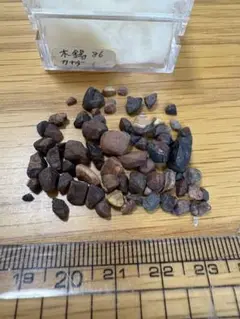 木錫　カナダ産