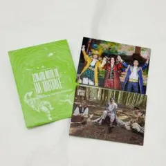 Mrs. GREEN APPLE イミュータブル フォトカ 037 041