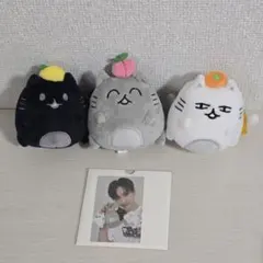 ジェジュンぬいぐるみ マスコット - メルカリ
