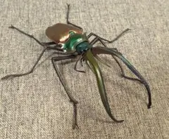 2026年最新】チリクワガタの人気アイテム - メルカリ
