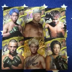 Item thumbnail for item a1a9260b-da0f-4535-8a04-9938e8ceb1f0