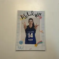 Item thumbnail for item c307b6f7-2842-4996-aa30-dc38b9f1334b