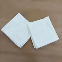 ラルフローレン刺繍ハンカチ2枚セット　結婚式で使用できます