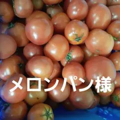 メロンパン様専用