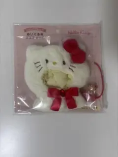 【専用】サンリオ ハローキティ ぬいぐるみ コスチューム エンジョイアイドル