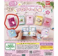 サンリオキャラクターズ　プロフィール帳