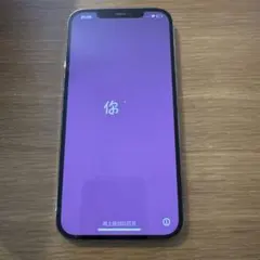 iPhone12 ProMax SIMフリー