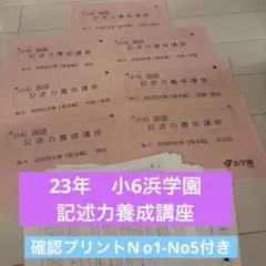 灘中　国語1日目　知識力完成講座　1回から14回すべて　SAPIX 2026年受験用 SAPIX 灘1日目知識力完成講座 全14回 (10回目なし
