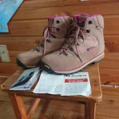 Item thumbnail for item 2e666416-800a-438c-80a0-860e4610223f