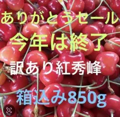 今日で終わり　訳あり 紅秀峰 さくらんぼ 箱込み850gのサムネイル