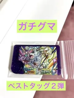 ポケモンフレンダ ガチグマ ベストタッグ2弾　②