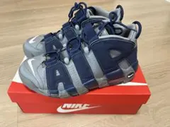 NIKE AIR MORE UPTEMPO '96 Cool Grey 27cmのサムネイル