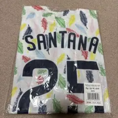 ヤクルト サンタナ選手 レディースデー2025 ユニフォーム