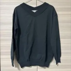 LEPSIM レプシィム　グリーン　Vネック ニット　フリーサイズ　コットン