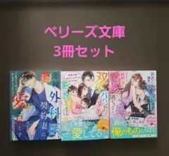 ベリーズ文庫 3冊セット(4)