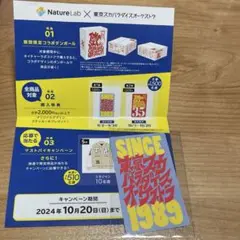 東京スカパラダイスオーケストラ ネイチャーラボ コラボ　ステッカー