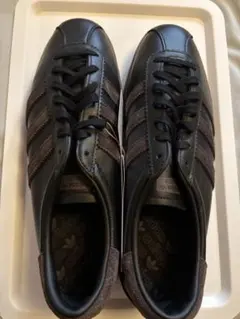 Item thumbnail for item ede28c6b-c4eb-4ce2-ae30-7e52839f70cc