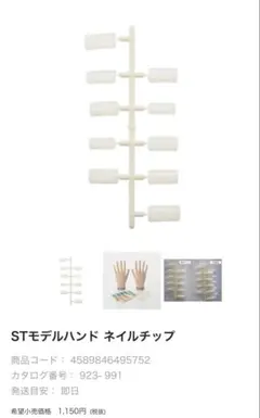 STモデルハンド ネイルチップ　24セット　認定チップ