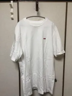 Item thumbnail for item 7428a95c-9239-4d2e-8f0a-6e6b6146ac55