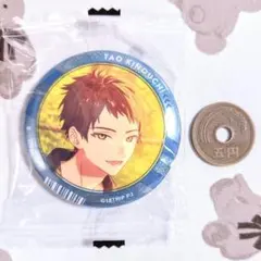 18TRIP 木ノ内太緒 キャラ缶バッジ vol.7 エイトリ 18TRIP キャラバッジコレクション Vol.7 木ノ内太緒 5点