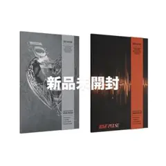 TREASURE LOVE PULSE 新品未開封 2枚セット