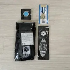 EXO EXhOrizon アプグレ プレミアムシート 特典 トレカ 5枚セット