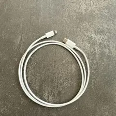 iPhone 充電器 純正 タイプCライトニングケーブル Apple正規品