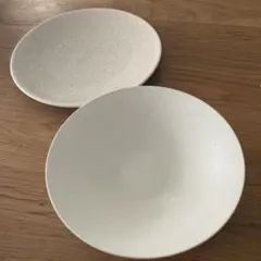 美濃焼　深皿 プレート ２枚セット 器　大皿　作家