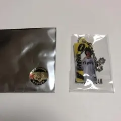 阪神タイガース　ガラコロ　木浪聖也