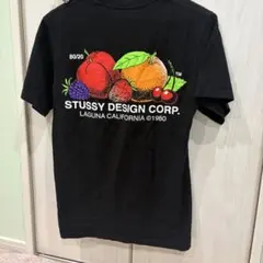 STUSSY フルーツグラフィック Tシャツ S ブラック