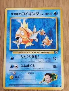 サカキのコイキング ジム拡張第2弾 闇からの挑戦のサムネイル