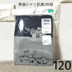 長袖シャツ肌着2枚組　120